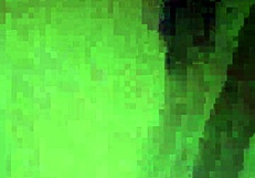 I crave masturbating hard for webcam fans