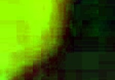 Jayexposed Gets Sucked Off by Hot Shemale Again