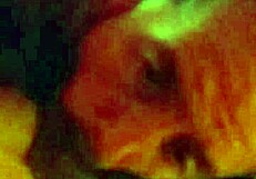 Jayexposed Gets Sucked Off by Hot Shemale Again