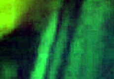 Jayexposed Gets Sucked Off by Hot Shemale Again