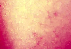 sucking all the cum from my stepbrother eagerly