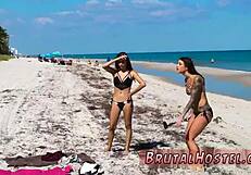 felicity feline and jade in extreme bdsm stockings bondage domination