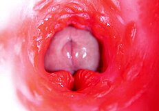 camera POV inside oiled redhead fuck doll pussy as monster cock machine pounds to orgasm. BEST INTERNAL CUMSHOT