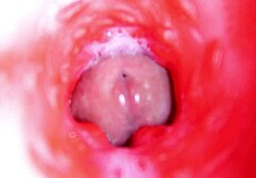 camera POV inside oiled redhead fuck doll pussy as monster cock machine pounds to orgasm. BEST INTERNAL CUMSHOT