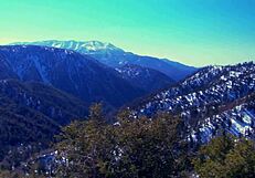 Blonde MILF August in lingerie fishnets heels deepthroats boyfriend then bends for doggystyle assfucking on bed