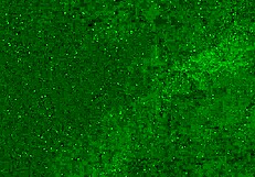 Crazy 18yo pees panties on beach then squirts wet! 🌊💦