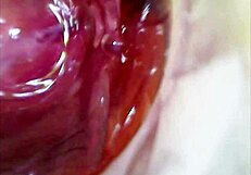 WATCH REAL PUSSY ORGASM contractions with cum sperm inside under microscope!?