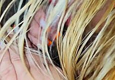 your wife admits my dick dwarfs her husband's during sneaky footjob session