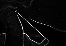 Discover Divine Italian Wife's Captivating European Beauty and Grace