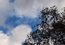 Girlfriend and I Get Passionate in Forest Hut - Cute Brunette Lesbian Fuck