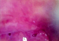 WATCH REAL PUSSY ORGASM contractions with cum sperm inside under microscope!?