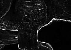 Discover Divine Italian Wife's Captivating European Beauty and Grace