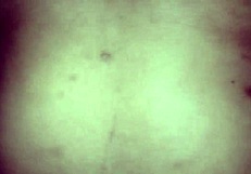 bangladeshi college girl squirts pussy juice first time in doggy with boyfriend's big cock licking