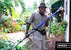 Curvy Brazilian Tiger Tamed by Massive BBC in Jungle Doggystyle Ass Pounding