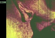 Lost in the thrill of vintage threesomes with hairy beavers and group passion