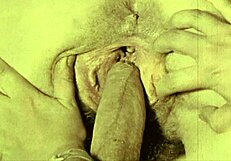 Lost in the thrill of vintage threesomes with hairy beavers and group passion