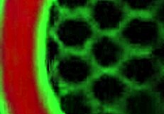 Does Hotel Window Pounding Soak Ava Valentina's Big Tits And Ass?