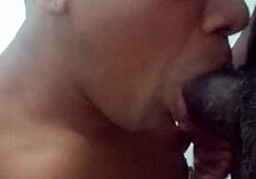 damn check this brazilian ass with dildo play