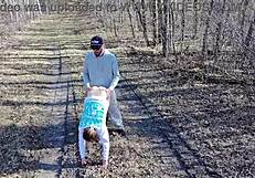 drone watches us fuck outside with big cock in curvy milf pussy