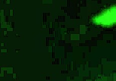 Fucking hard and raw no mercy!