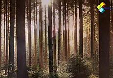 imagine your stepbrother ripping clothes to fuck my wet pussy harder than hubby