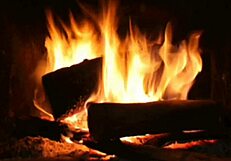 bold latina teen maid's erotic narration drives wild passion