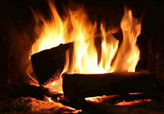 bold latina teen maid's erotic narration drives wild passion