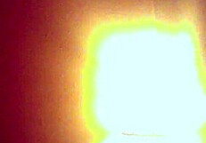 Ever wonder what happens when your hot latina gf bends over for homemade doggystyle?