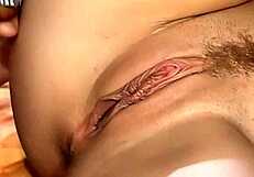 Missy Monroe's Fishnet Ass Gaped in Interracial Doggie Deepthroat