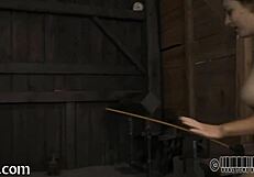 KINKY SADOMASOCHISM BONDS AND WHIPS!