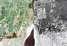 oh god my latina stepmom's taboo big tits and juicy ass on knees for breeding cum!!