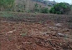 Pequeena caipira's big brazilian ass fucked hardcore anal by black cock in old boot canavial? 