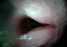whoa endoscope catches that huge cock pulsing cum deep inside her sloppy hole up close