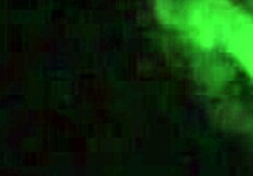 Babe, these backshots on your big curvy ass feel so damn good