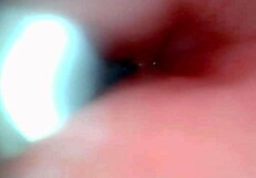 whoa endoscope catches that huge cock pulsing cum deep inside her sloppy hole up close