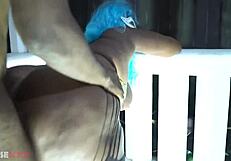 Dude hangs with busty ebony BBW and curvy group