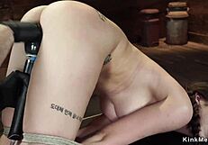 brazilian blonde housewife cheats with gym trainer in lingerie while hubby's at work