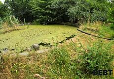 Debt Payment Deepthroat Monster Cock Ride