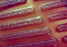 Mommy Domme Chuymaury Kicks Balls In Tight Pantyhose And Heels