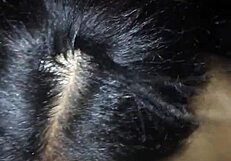 Intriguing teen lips wrap tight around throbbing cock sucking deep