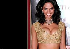 top 6 massive boobed bollywood actresses jiggle tits hardcore 2017