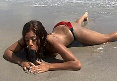 Ebony Fat Ass Dripping Wet Public Beach Dildo Pounding