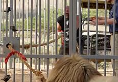 World's fastest car races against cheetah in epic showdown