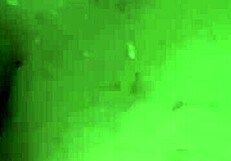 Cuckold Watches Wife Karina Stuffed with Massive Cumshot from Lucas