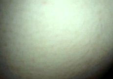 leaked intimate video of sexy italian teen alexia riding passionately