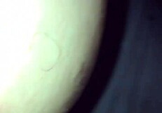 thick wife bends over with wet pussy ready for homemade doggystyle