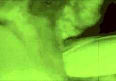 dark lantern unveils two centuries of hairy mature lesbian beaver retro action