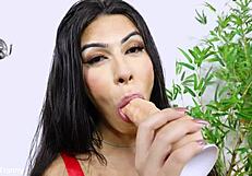 How Many Dildos Can This Trans Beauty's Ass Handle Today?