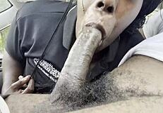 you ready for hella's chubby black deepthroat swallow fest vol 2?