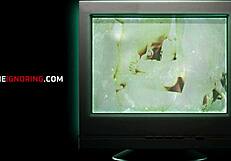 teen clout chasers alice visby dixie lynn chase fame with nicky rebel